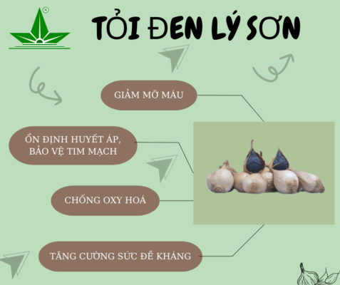 Tỏi đen Lý Sơn