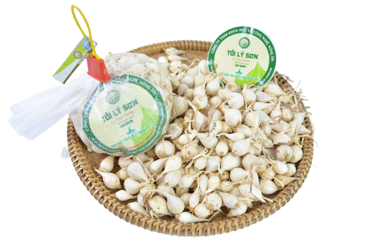 Tỏi Lý Sơn