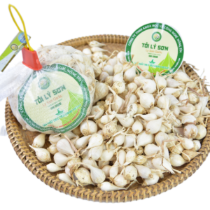 Kỹ thuật trồng và chăm sóc tỏi Lý Sơn
