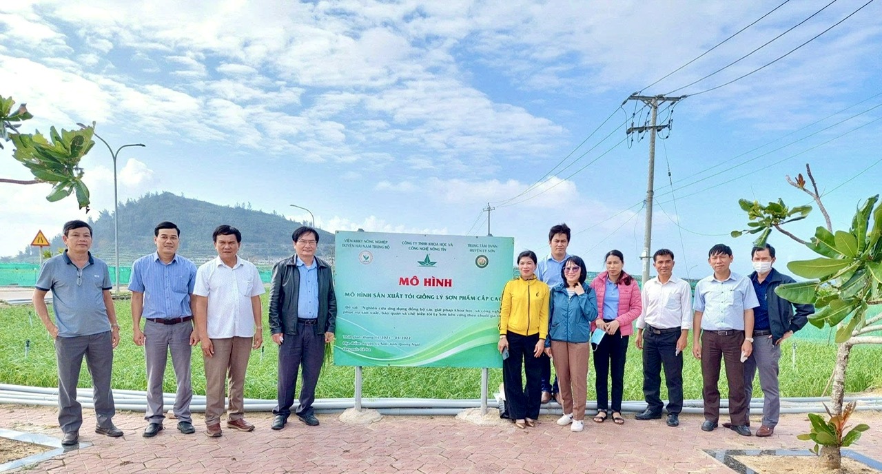 Đại diện Bộ Khoa học - Công nghệ & Sở Khoa học - Công nghệ tỉnh Quảng Ngãi khảo sát các ruộng tỏi tại Lý Sơn